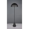 Alfie Lampadaire Luminaires Trio Noir, 1 lumière