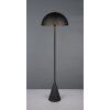 Alfie Lampadaire Luminaires Trio Noir, 1 lumière