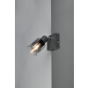 Cadiz Spot de plafond Luminaires Reality Anthracite, 1 lumière