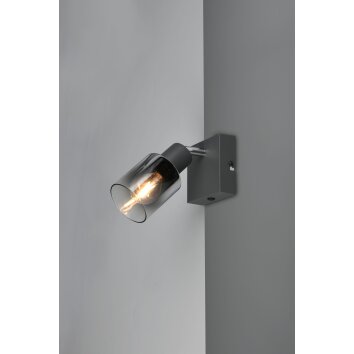 Cadiz Spot de plafond Luminaires Reality Anthracite, 1 lumière