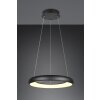 Cardona Suspension Luminaires Trio LED Noir, 1 lumière