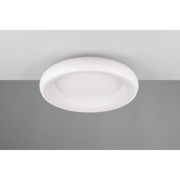 Cardona Plafonnier Luminaires Trio LED Blanc, 1 lumière