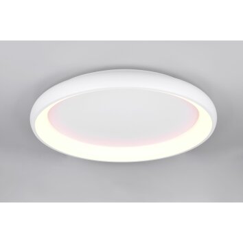 Cardona Plafonnier Luminaires Trio LED Blanc, 1 lumière