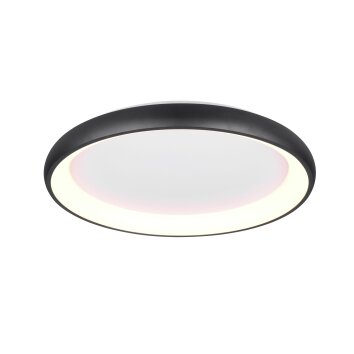 Cardona Plafonnier Luminaires Trio LED Noir, 1 lumière