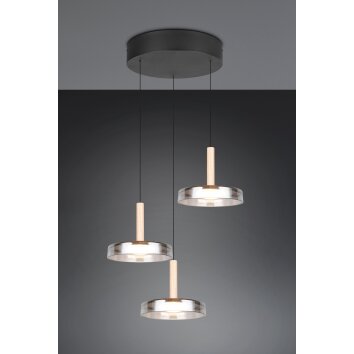 Celeste Suspension Luminaires Trio LED Noir, 1 lumière