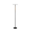 Celeste Lampadaire Luminaires Trio LED Noir, 1 lumière