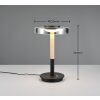 Celeste Lampe à poser Luminaires Trio LED Noir, 1 lumière