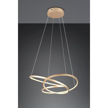 Darvin Suspension Luminaires Trio LED Or, 1 lumière