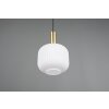 Diva Suspension Luminaires Trio Laiton, 1 lumière