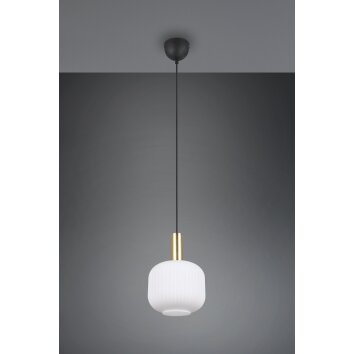 Diva Suspension Luminaires Trio Laiton, 1 lumière