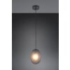 Facette Suspension Luminaires Trio Noir, 1 lumière