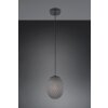 Facette Suspension Luminaires Trio Noir, 1 lumière