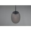 Facette Suspension Luminaires Trio Noir, 1 lumière