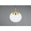 Fomento Suspension Luminaires Trio Laiton, 1 lumière