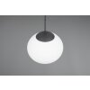 Fomento Suspension Luminaires Trio Noir, 1 lumière