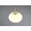 Fomento Suspension Luminaires Trio Laiton, 1 lumière