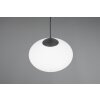 Fomento Suspension Luminaires Trio Noir, 1 lumière