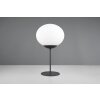 Fomento Lampe à poser Luminaires Trio Noir, 1 lumière