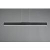 Galway Suspension Luminaires Trio LED Noir, 1 lumière