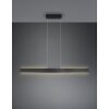 Galway Suspension Luminaires Trio LED Noir, 1 lumière