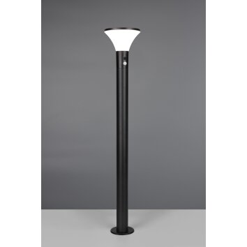 Gorda Lampadaire d\'extérieur Luminaires Reality LED Noir, 1 lumière, Détecteur de mouvement