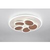 Mandala Plafonnier Luminaires Trio LED Gris, 1 lumière, Télécommandes