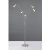 Marley Lampadaire Luminaires Trio Nickel mat, 5 lumières