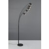 Marley Lampadaire Luminaires Trio Noir, 5 lumières