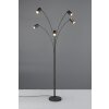 Marley Lampadaire Luminaires Trio Noir, 5 lumières