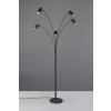 Marley Lampadaire Luminaires Trio Noir, 5 lumières