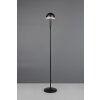 Mendorez Lampadaire Luminaires Reality LED Noir, 1 lumière