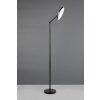 Mondello Lampadaire Luminaires Reality LED Noir, 1 lumière