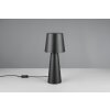 Nubian Lampe à poser Luminaires Trio Noir, 1 lumière