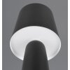 Nubian Lampe à poser Luminaires Trio Noir, 1 lumière