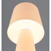 Nubian Lampe à poser Luminaires Trio Beige, 1 lumière