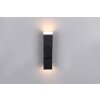 Raglan Applique murale Luminaires Trio LED Noir, 2 lumières