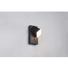 Raglan Applique murale Luminaires Trio LED Noir, 1 lumière