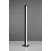 Seeker Lampadaire Luminaires Trio LED Noir, 1 lumière