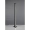 Seeker Lampadaire Luminaires Trio LED Noir, 1 lumière