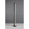 Seeker Lampadaire Luminaires Trio LED Noir, 1 lumière