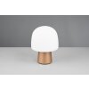 Lampe Champignon  Steen Lampe à poser Luminaires Trio Brun, 1 lumière