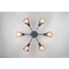 Tarifa Plafonnier Luminaires Trio Noir, 6 lumières