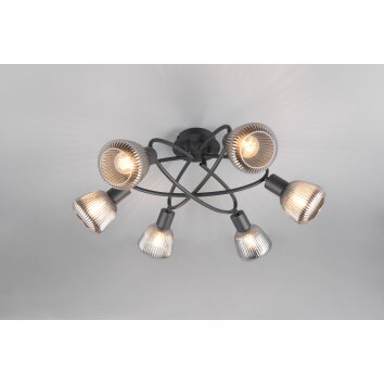 Tarifa Plafonnier Luminaires Trio Noir, 6 lumières