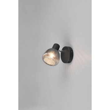 Tarifa Spot de plafond Luminaires Trio Noir, 1 lumière