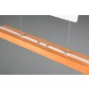 Trajan Suspension Luminaires Trio LED Blanc, 1 lumière