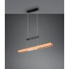 Trajan Suspension Luminaires Trio LED Noir, 1 lumière