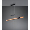 Trajan Suspension Luminaires Trio LED Noir, 1 lumière