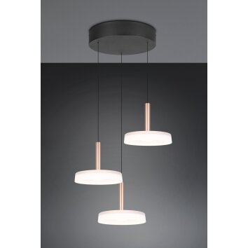 Celeste Suspension Luminaires Trio LED Brun, 1 lumière