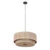 Smilla Suspension Luminaires Trio Noir, 1 lumière