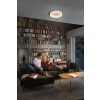 SUNATHOME Applique murale / Plafonnier Luminaires Ledvance LED Blanc, 1 lumière